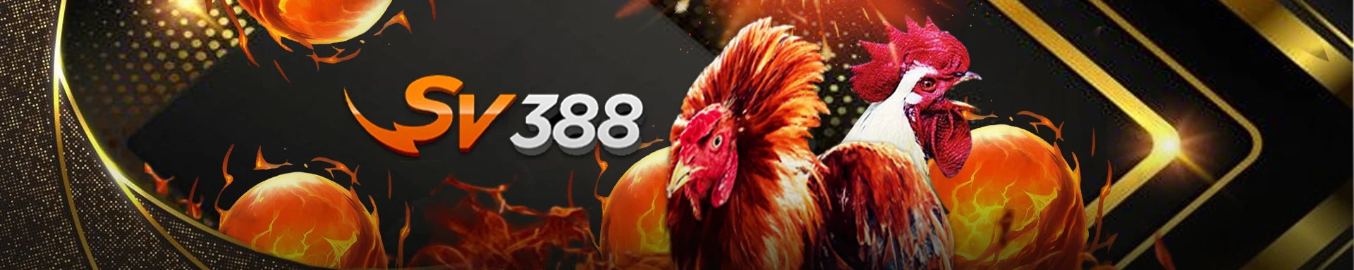 Banner OTHER